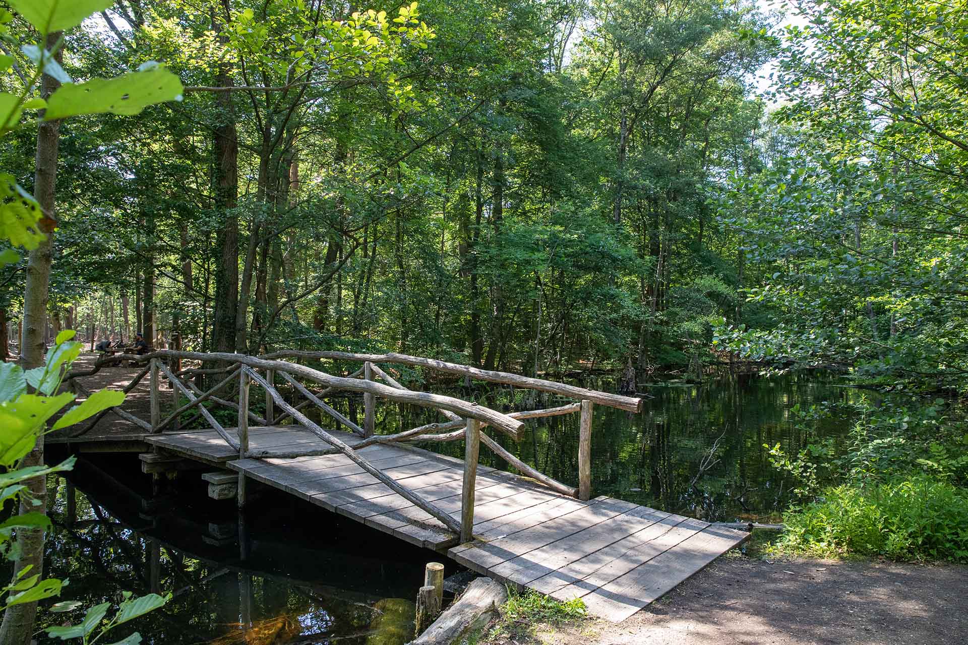 Rustikale Holzbrücke im Wald