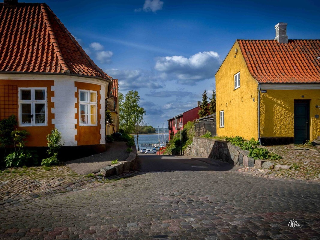 Zwei idyllische Häuser mit einem Weg in der Mitte und Blick auf den Præstøfjord
